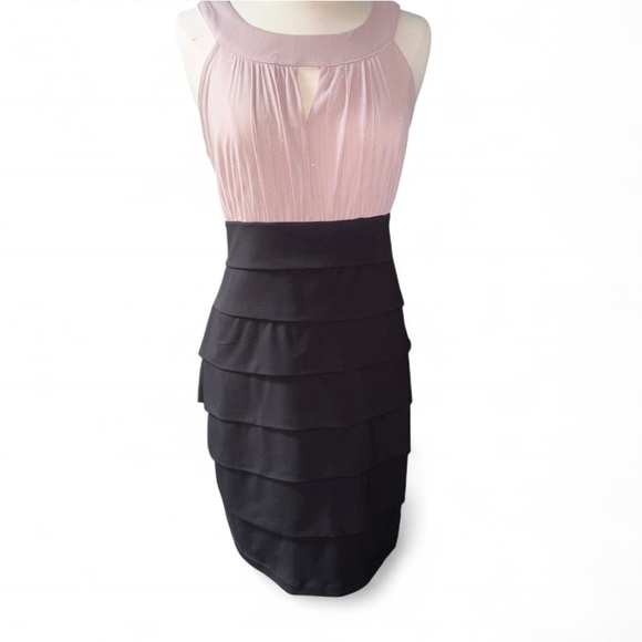 Enfocus Studio Mauve and Black Dress - Picture 1 of 4